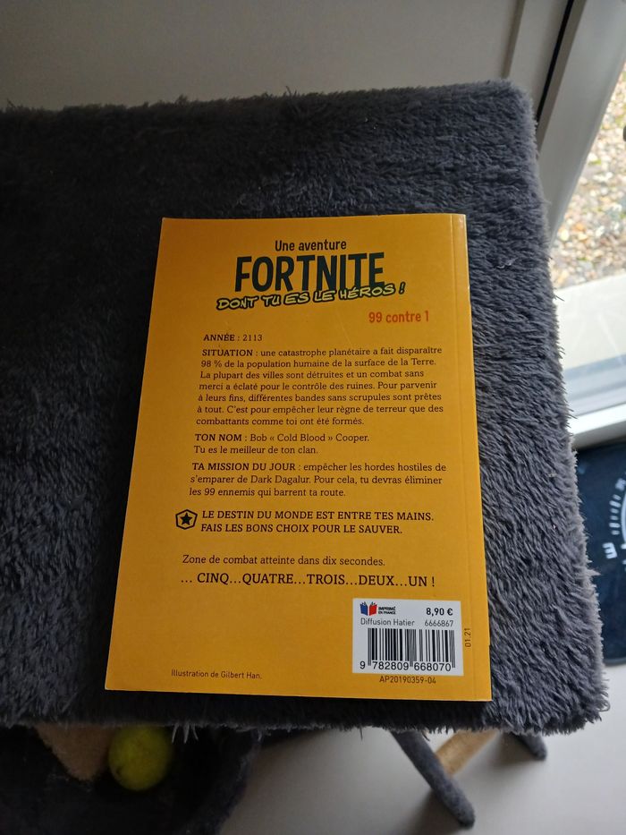 Livre fortnite - photo numéro 2