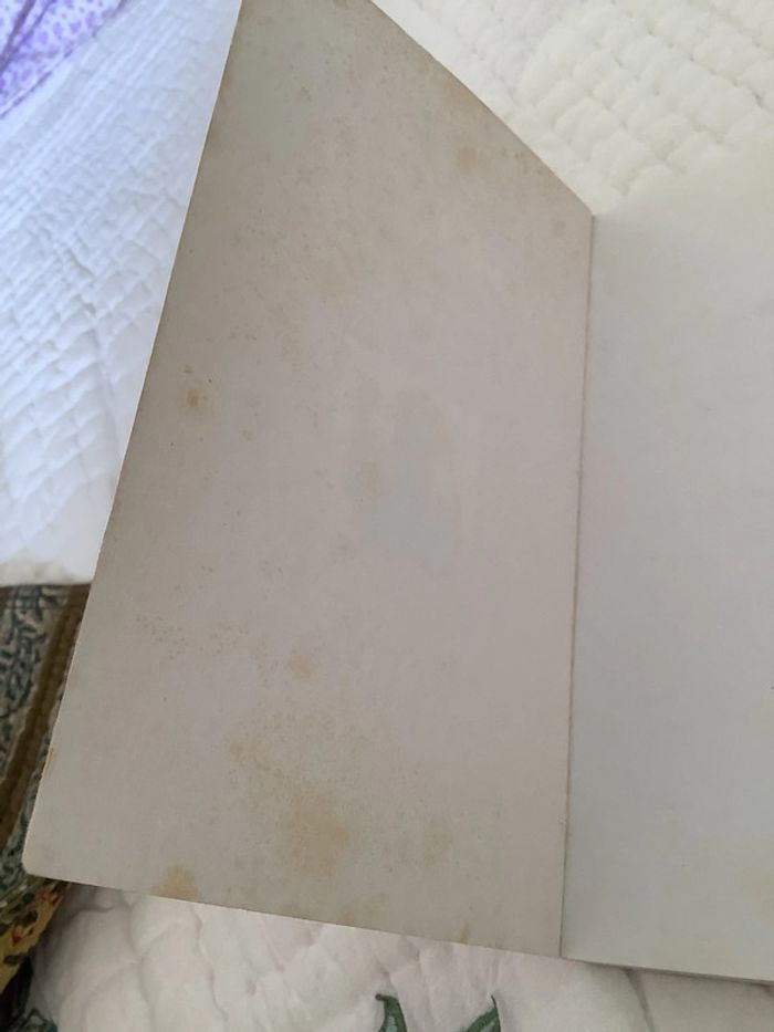 Négrologie, pourquoi l’Afrique meurt, par Stephen Smith - photo numéro 8