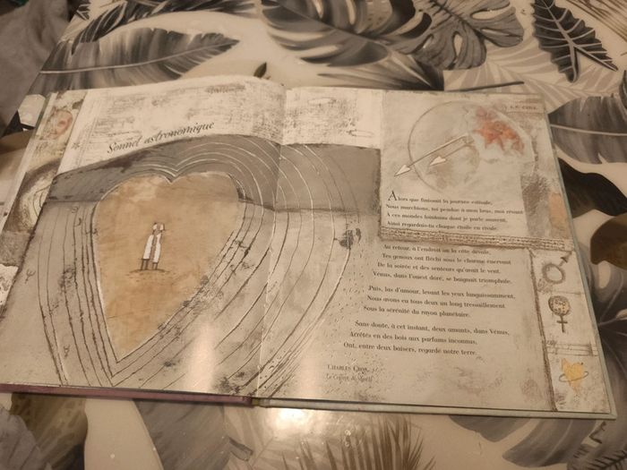 Album je t'aime un peu beaucoup - photo numéro 3