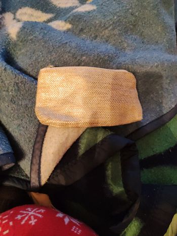 Petite pochette doré