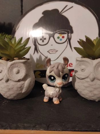 Littlest Petshop LPS Llama Lama 1937 Authentique Alpaca Alpaga #geektradelpslama
