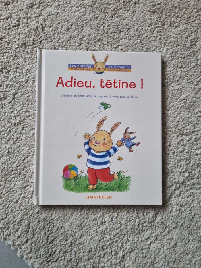 Livre Adieu tétine