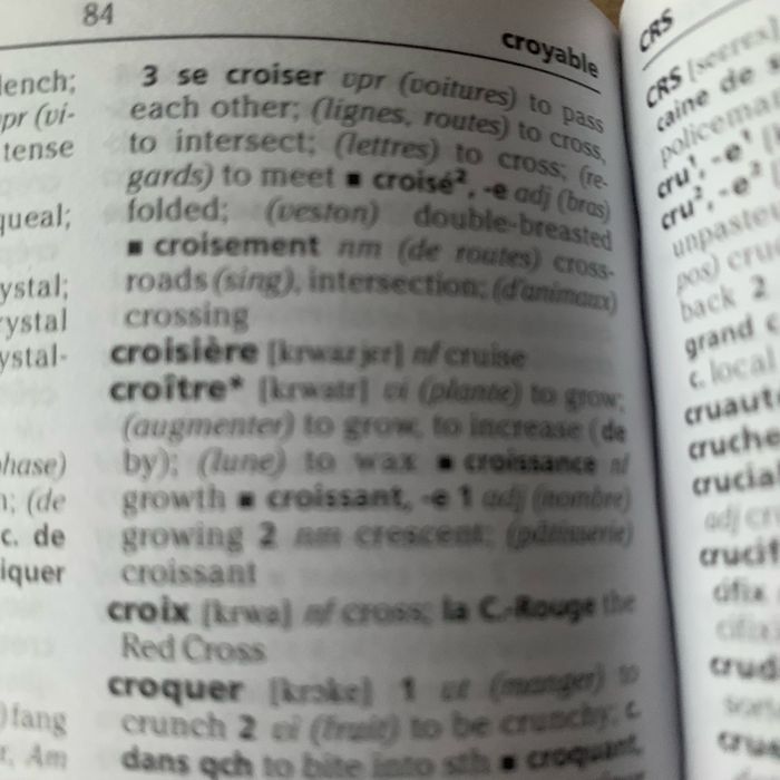 Dictionnaire Mini Plus ANGLAIS - photo numéro 4