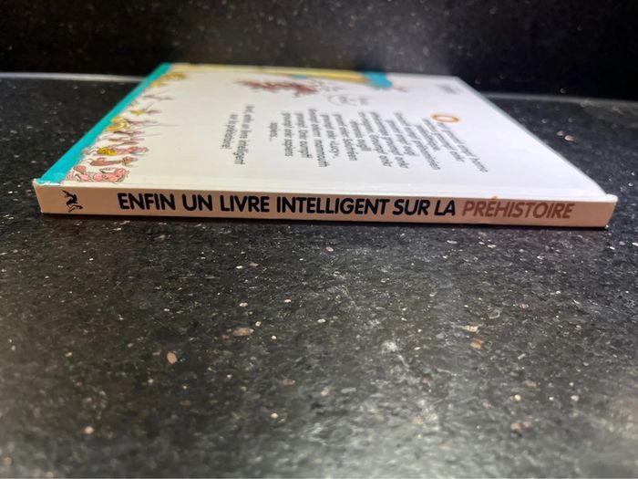 Livre/BD sur la préhistoire - photo numéro 3
