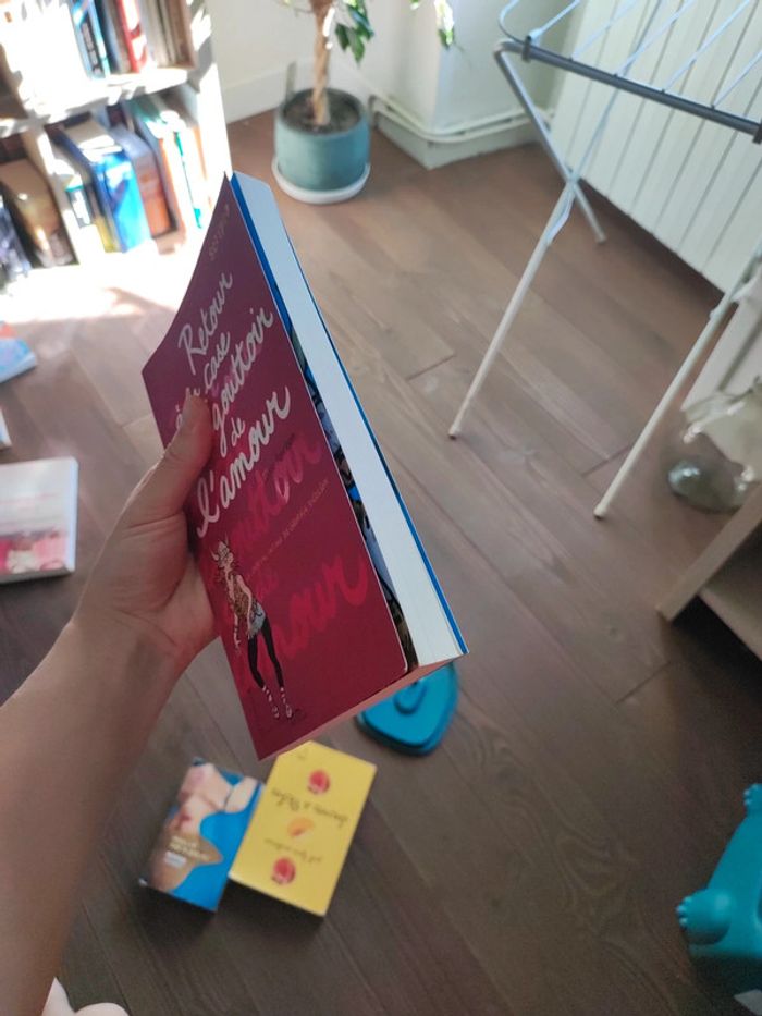 Roman Retour a la case égouttoir de l'amour - photo numéro 5