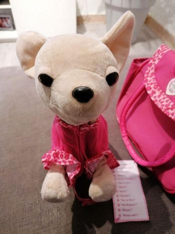 Chien chichi love