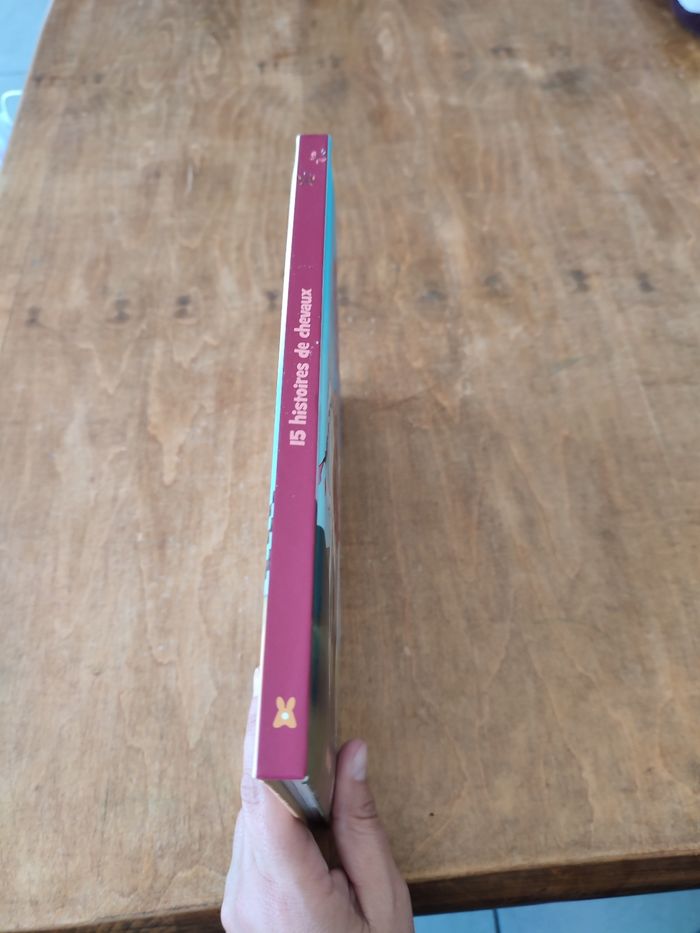 Livres 15 histoires de chevaux - photo numéro 2