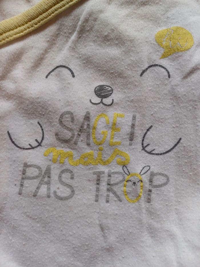 Lot de 3 bodies Pat & Ripaton - photo numéro 2