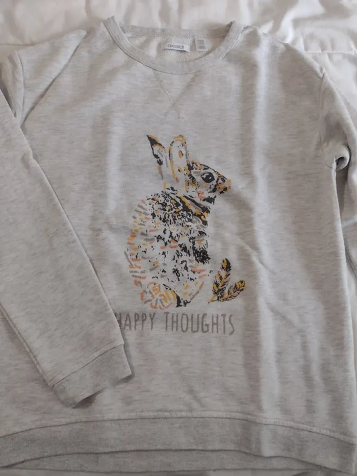 Sweat taille 14 ans