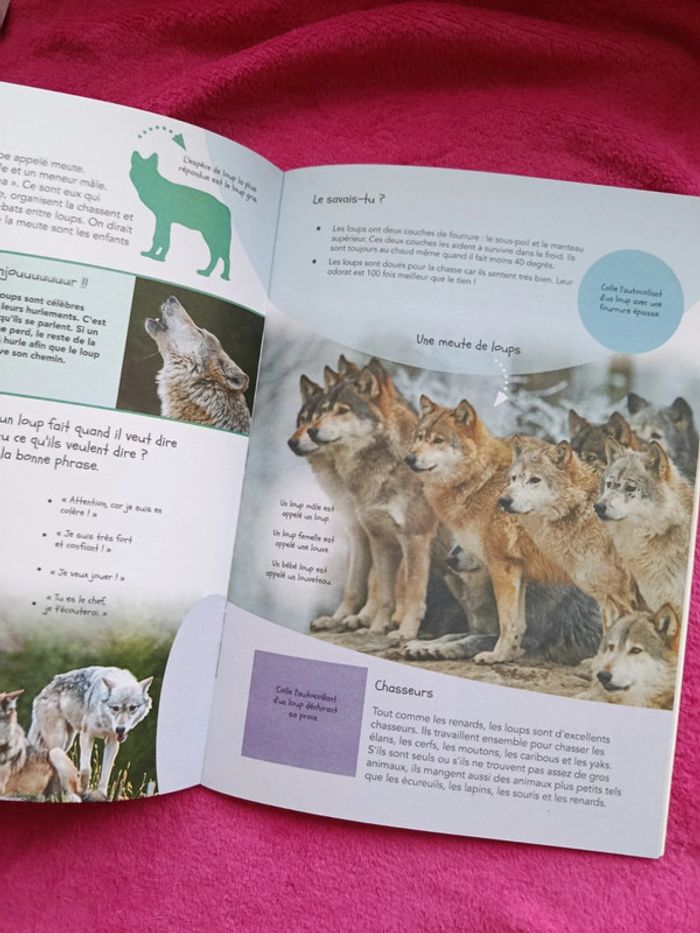 Cahier d'activités animaux de la forêt - photo numéro 2