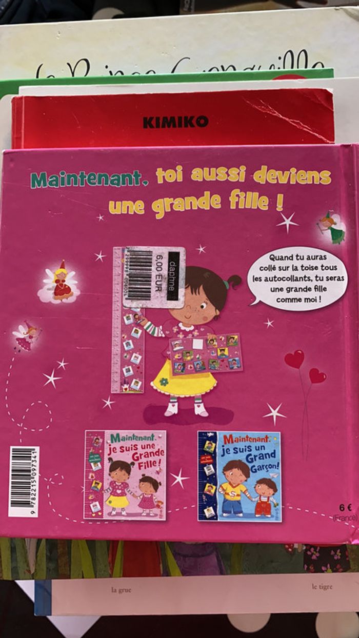 Livre Maintenant je suis une grande fille - photo numéro 2