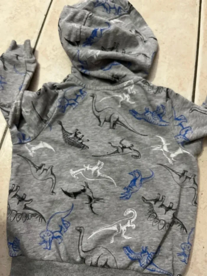 Gilet dinosaures - photo numéro 4