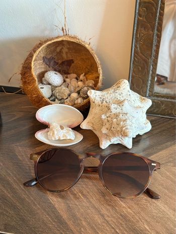Lunettes de soleil unisexe – monture écaille brun  protection UV