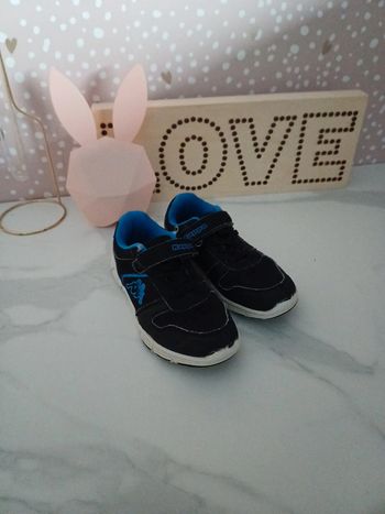 Basket 31
