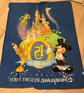 Plaid rare disney 15 ans