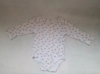 Lot 6 bodies