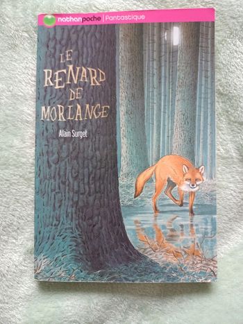 Livre de poche le roman de morlange