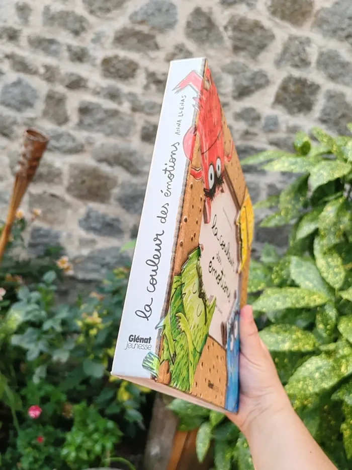 Livre la couleur des émotions - anna llenas - photo numéro 2