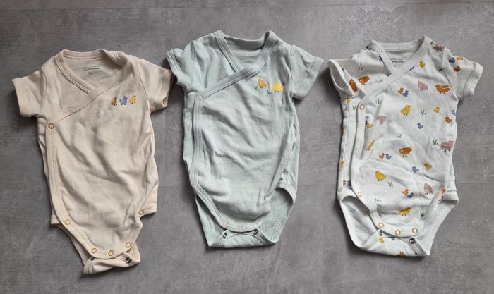 Lot de 3 bodies bout'chou 3mois
