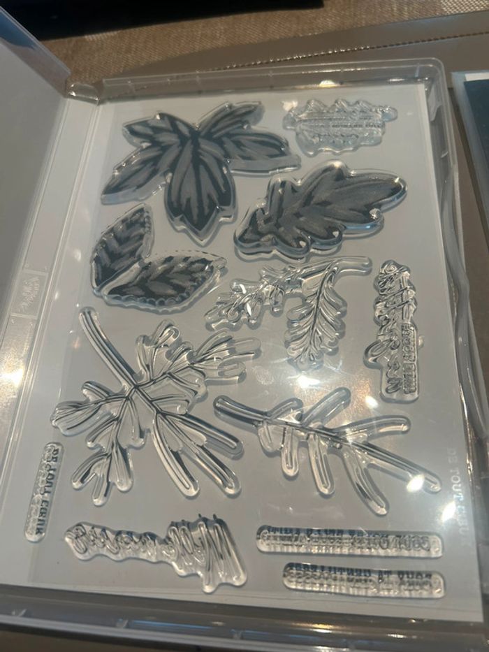 Lot neuf Feuilles d’automne Stampin’up! - photo numéro 2