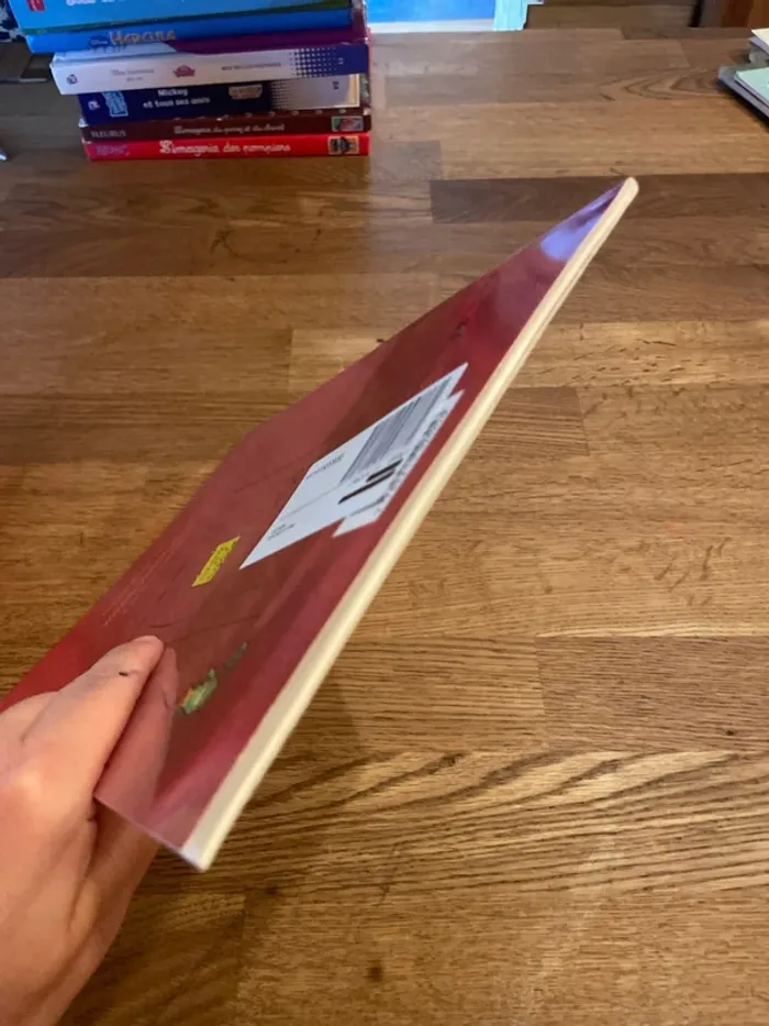 Livre L’école des Max Le secret - photo numéro 6