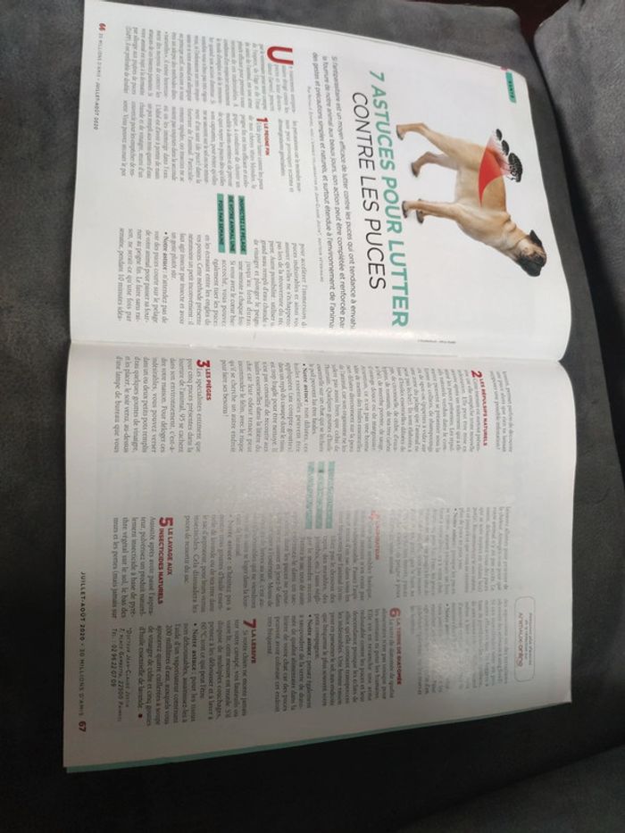 Magazine 30 millions d'amis numéro 386 été juillet août 2020 - photo numéro 13