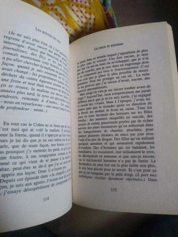 Fanny mes nuits noires dans la ville rose - photo numéro 3