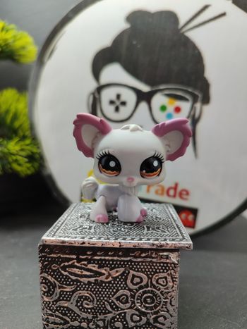 Lps01175 My Littlest Petshop Pet Shop LPS chien Papillon Chihuahua 1138