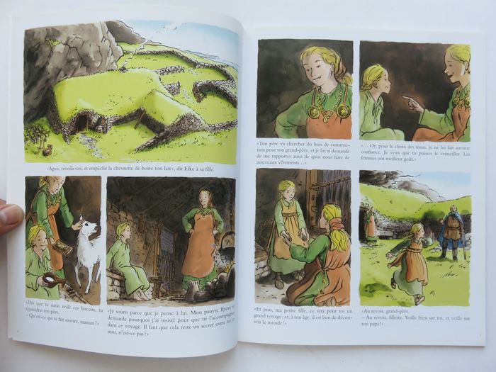 Documentaire jeunesse 8-13 ans : L'herbe verte du Groenland. Les Vikings au Xe siècle. (L'école des - photo numéro 4