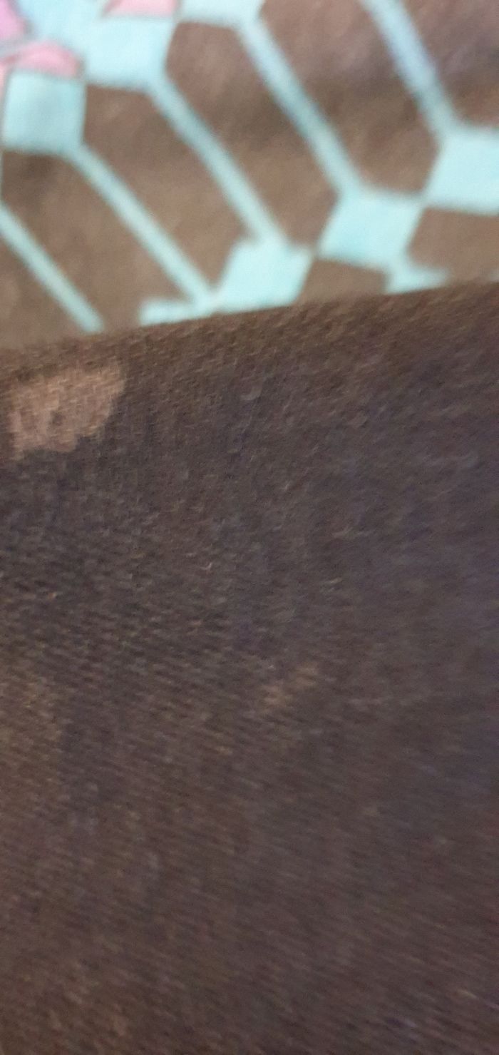 Jeans - photo numéro 2