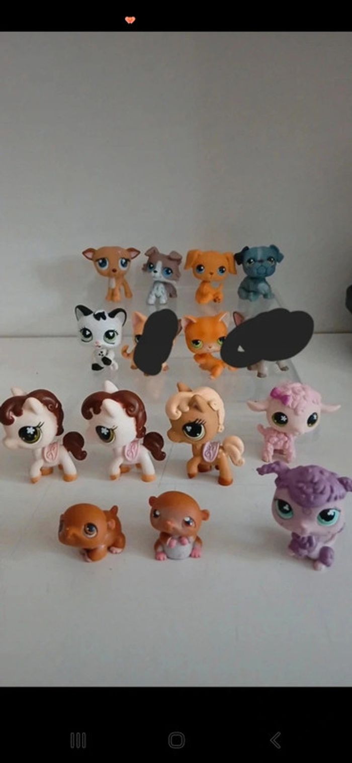 Littest petshop