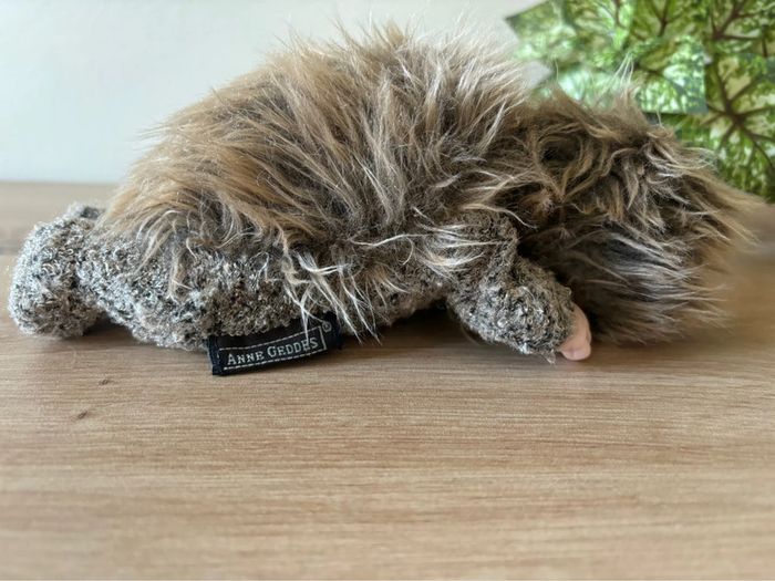 Peluche poupée bébé hérisson Anne geddes - photo numéro 4