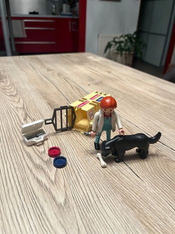 Playmobil 4317