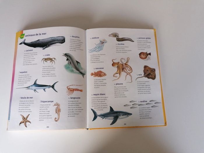 Dictionnaire Larousse maternelle 📕 - photo numéro 5