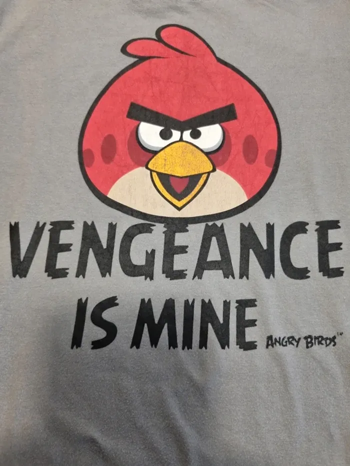 T-shirt Angry Birds - photo numéro 6