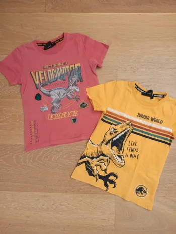 Lot 2 tee shirt 6 ans