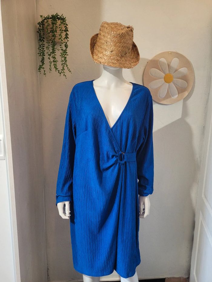 Robe bleue - photo numéro 2