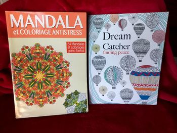 Livres de coloriage mandala