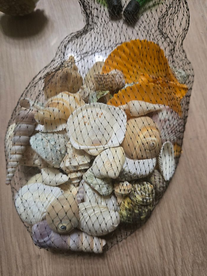 Lot pour aquarium neuf emballé - photo numéro 10