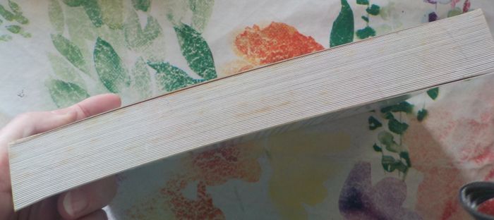 CHIRAC SARKOZY MORTELLE RANDONNEE par Philippe REINHARD Ed. First - photo numéro 5