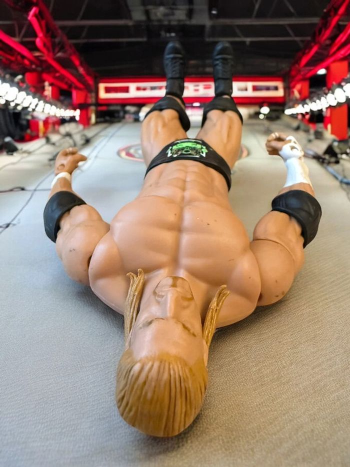 Figurine Articulée WWE Triple H Elite 7 Mattel Wrestling 2010 - photo numéro 7