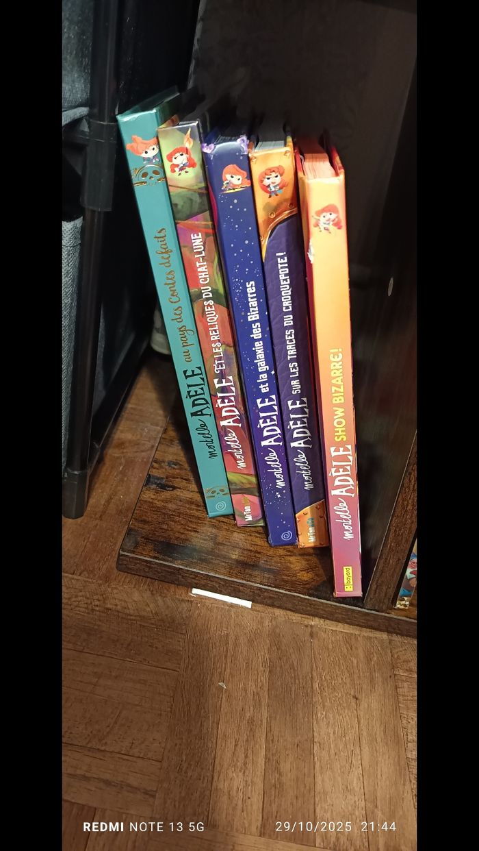 5 gros livres Adèle Mortelle - photo numéro 2