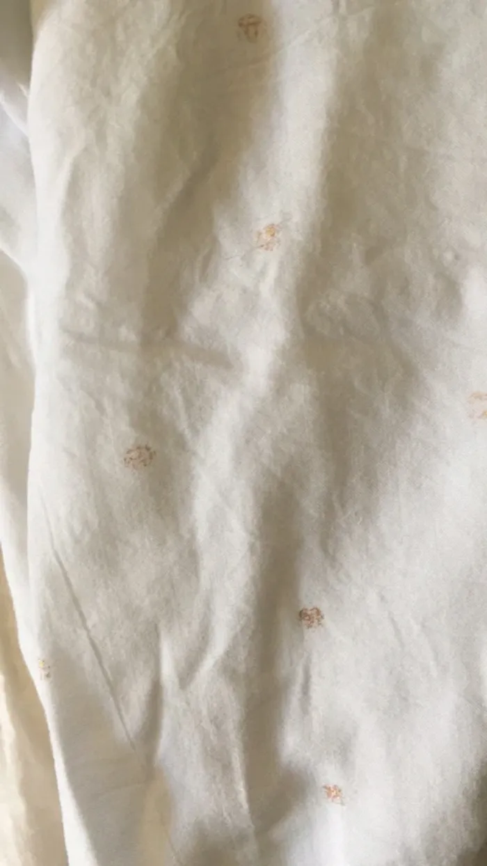 Chemise - photo numéro 2