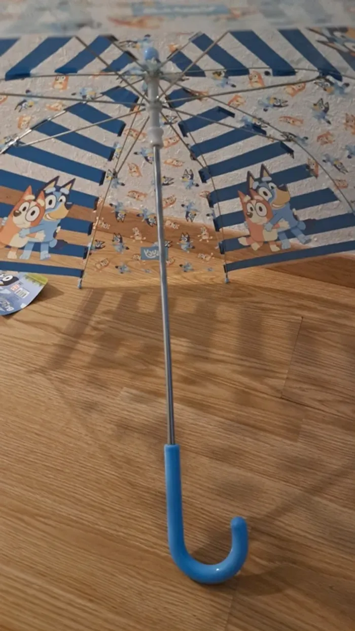 parapluie bluey - photo numéro 5