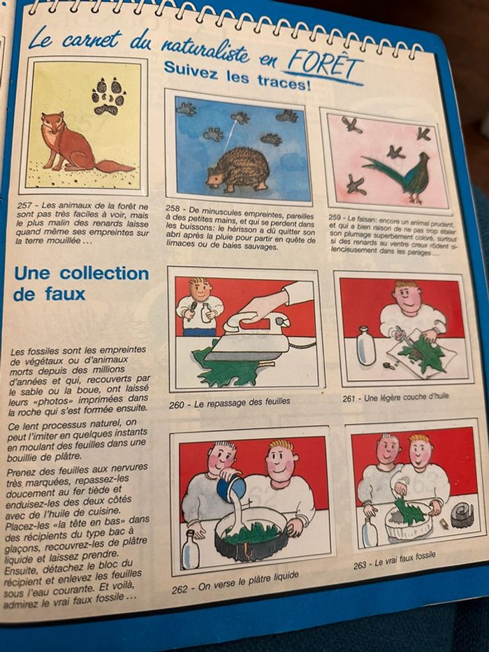 Album Panini complet WWF Nature en danger fonds mondial pour la nature stickers autocollants livre - photo numéro 10