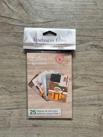 Cartes 25 idées de bêtises pour lutin farceur