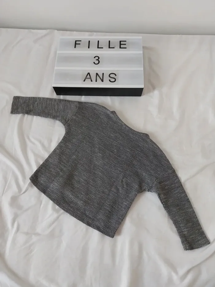 Pull fille 3 ans - photo numéro 2