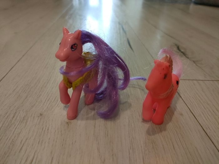 2 poneys