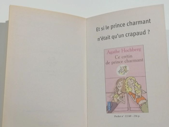 Livre pocket (mes amies, mes amours, mais encore ?) - photo numéro 10