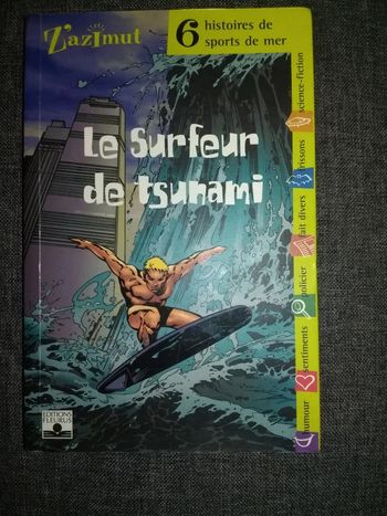 Livre -  Le surfeur de tsunami